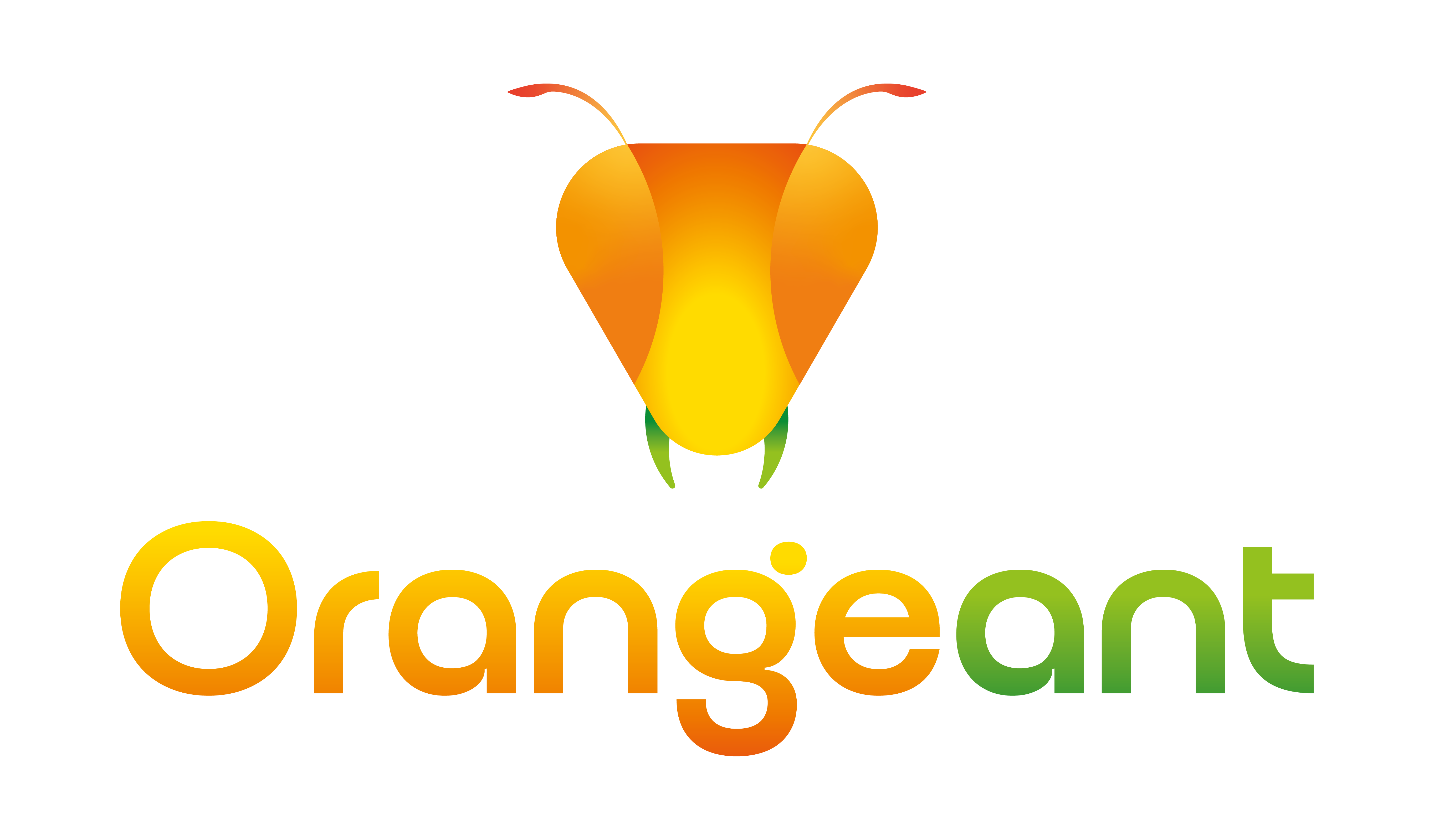 Orange Ant